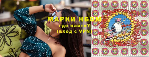индика Арсеньев