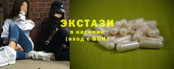 индика Арсеньев