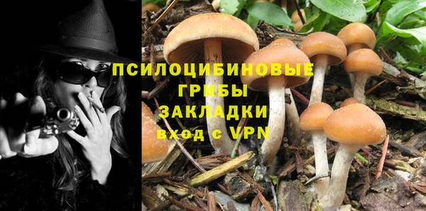 индика Арсеньев