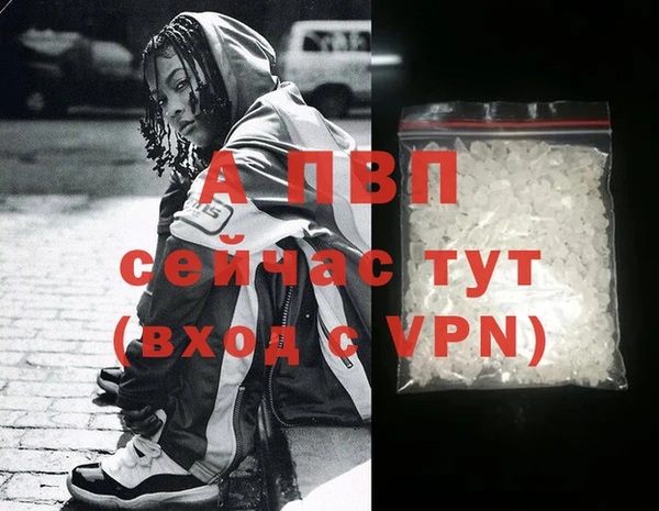 индика Арсеньев