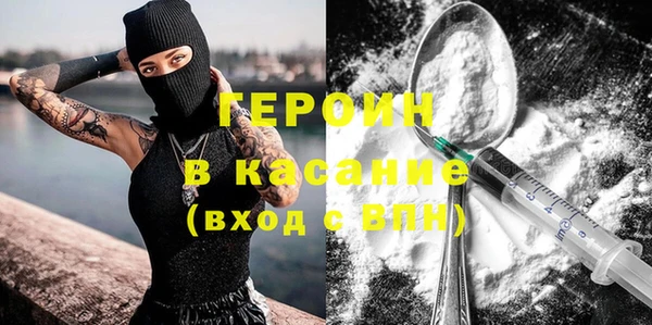 индика Арсеньев
