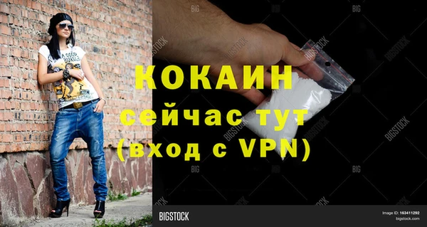 индика Арсеньев