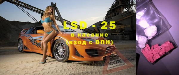 индика Арсеньев