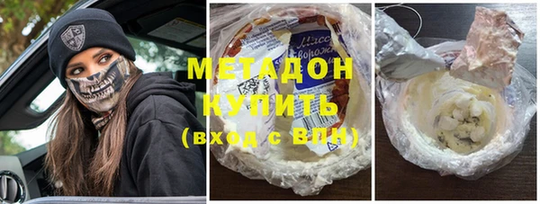 индика Арсеньев