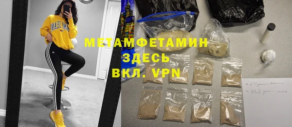 индика Арсеньев