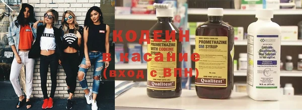 индика Арсеньев