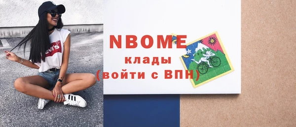 индика Арсеньев